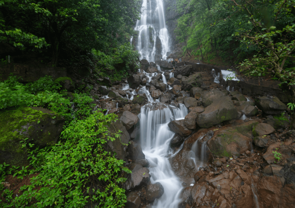 amboli